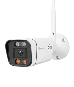 Black light full color camera