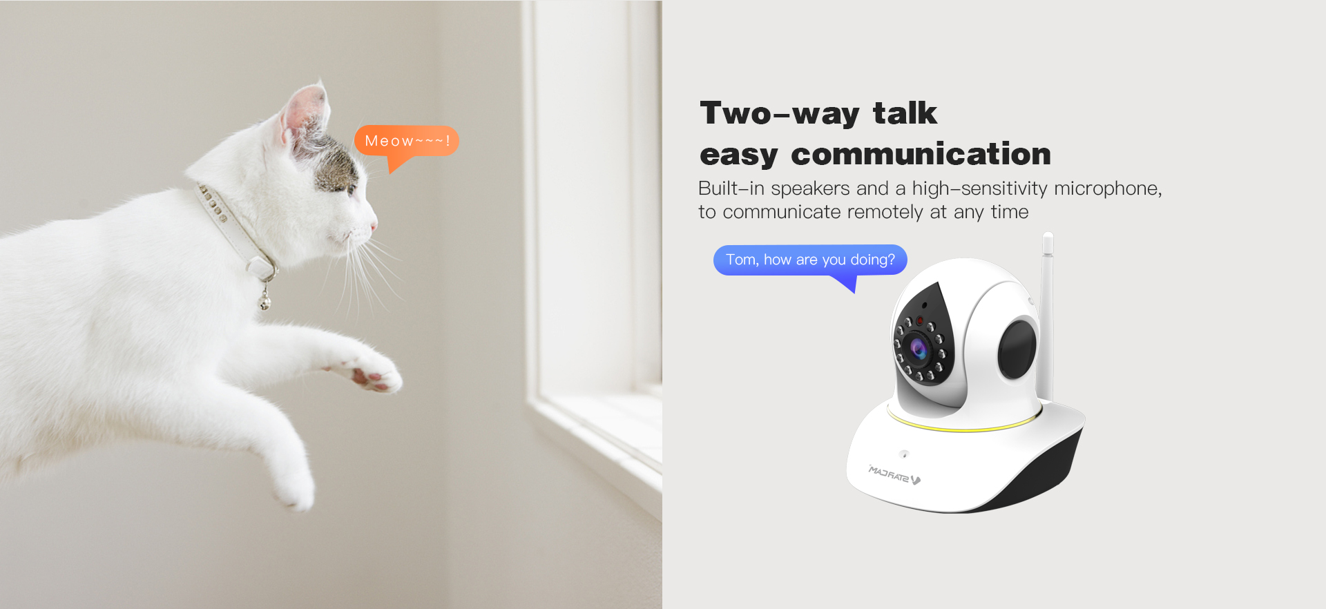 Pets IP Camera