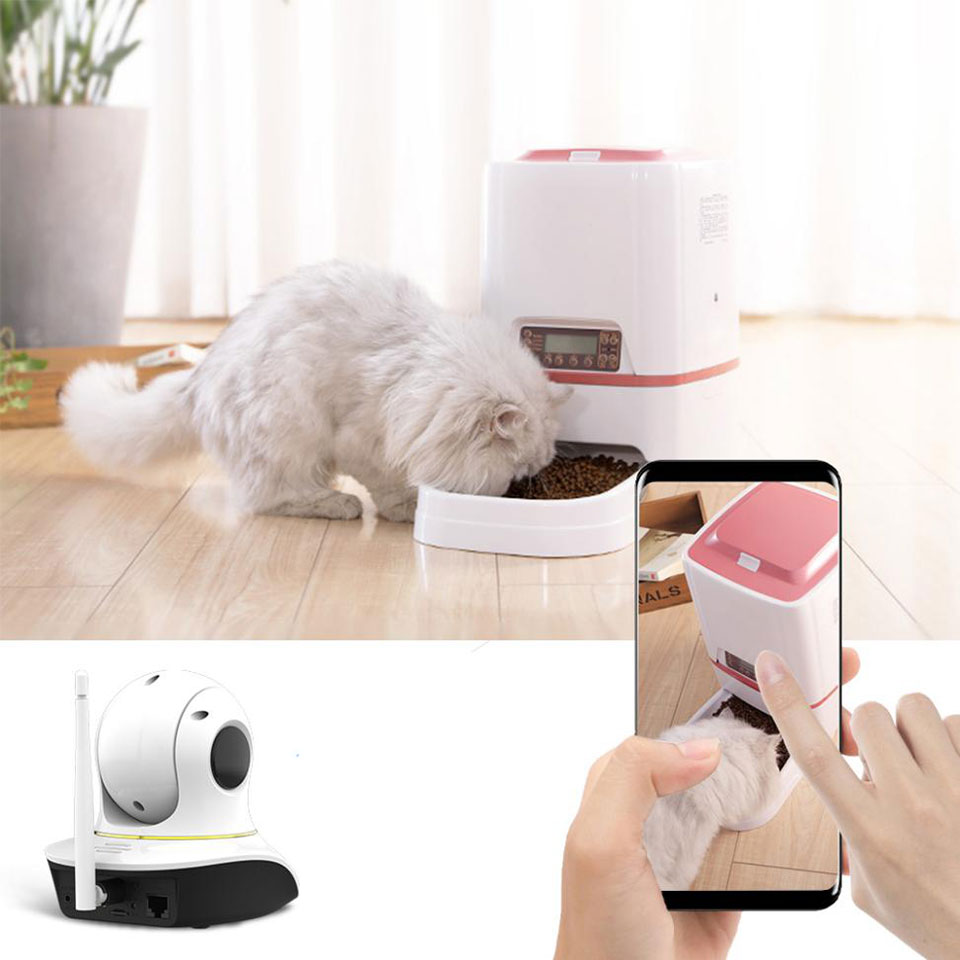 wireless-pet-camera