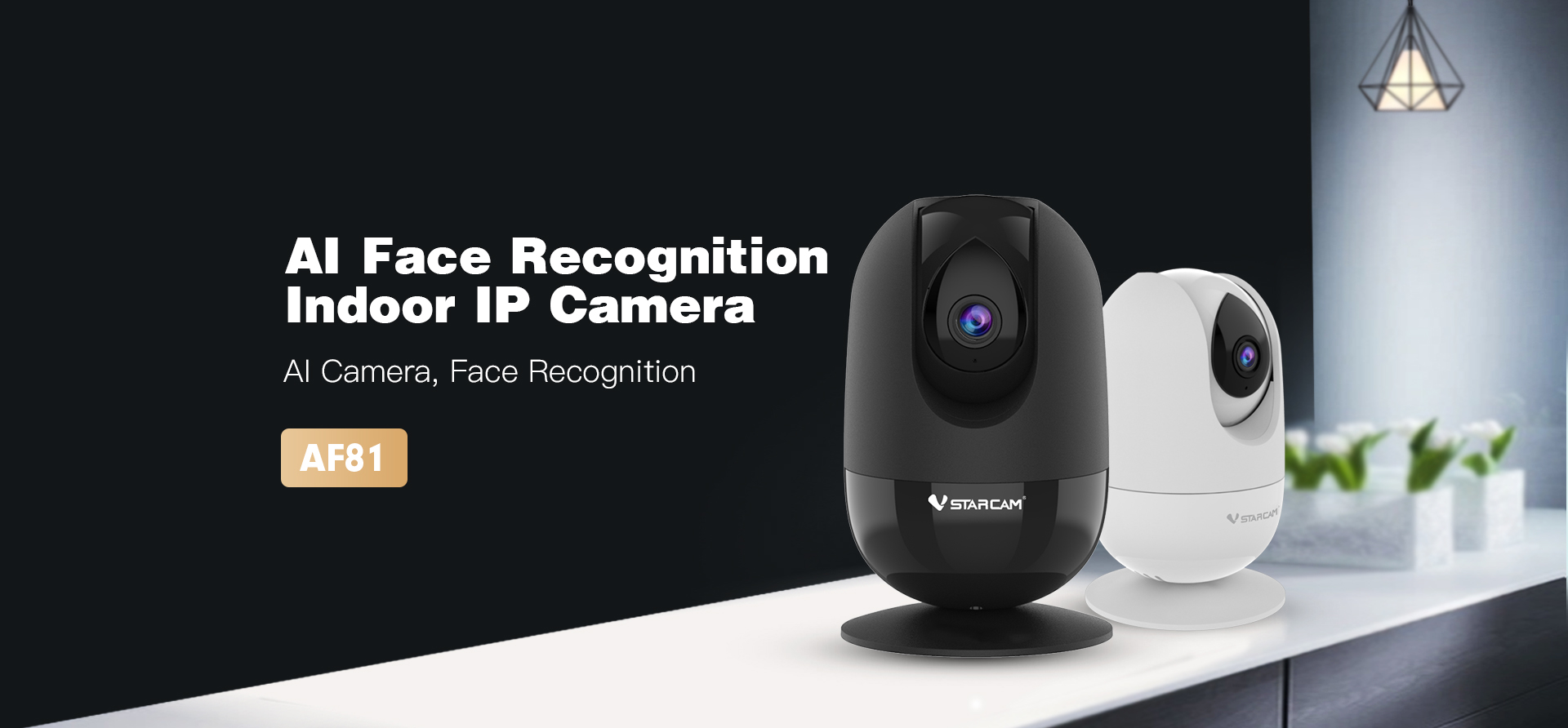 Smart Face Identification IP Camera